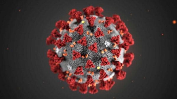 بماذا تتميّز السلالة الجديدة من فيروس كورونا؟