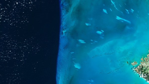 Des taches blanches inhabituelles flottent près des Bahamas et personne ne sait pourquoi