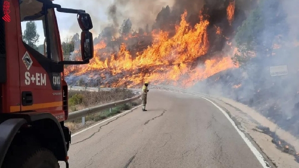Les incendies de forêt brûlent près de 4 000 hectares dans l