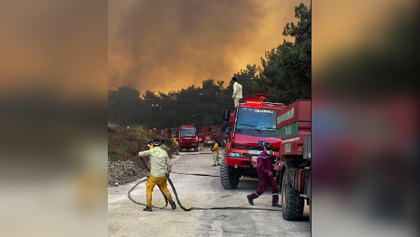 Incendies de forêt massifs en Turquie : Évacuations et efforts d
