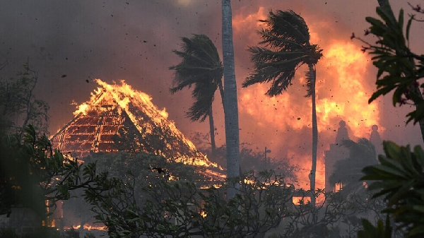 Tragédie à Hawaï : Incendie dévastateur à Maui fait 80 morts et déclenche une déclaration de catastrophe majeure