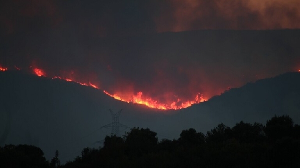 63 Nouveaux Incendies Ravagent la Grèce en 24 Heures, les Équipes de Lutte en Difficulté