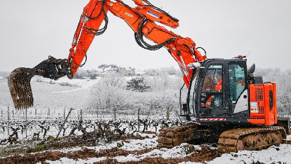 Crise Vinicole en France : Les Producteurs de Bordeaux Face à des Défis Climatiques et de Consommation